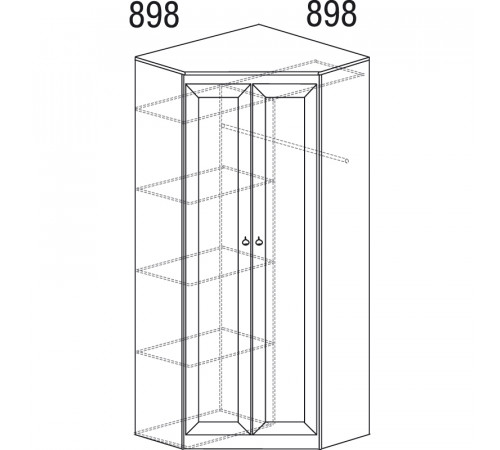 Шкаф для одежды в гостиную Инна 606 темный